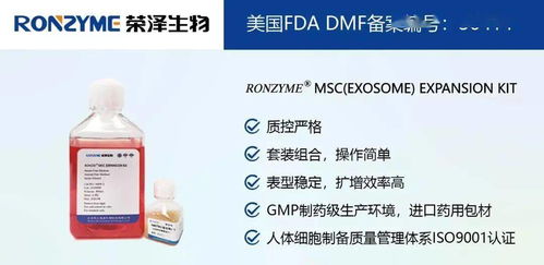 榮澤集團 市場調查成就斐然，穩健前行再譜新篇